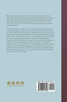 The Human Figure (Dover Anatomy for Artists)