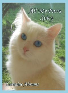 All My Purrs Spicy