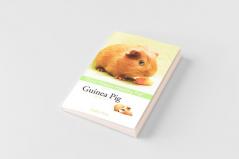 Guinea Pig