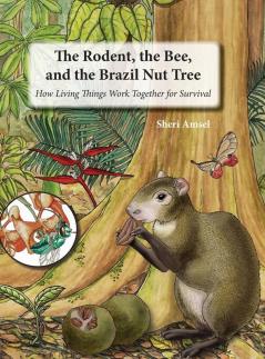 The Rodent the Bee  and the Brazil Nut Tree