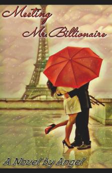 Meeting Mr. Billionaire
