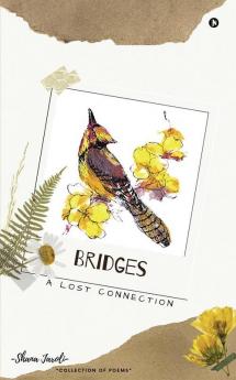 Bridges : A Lost Connection