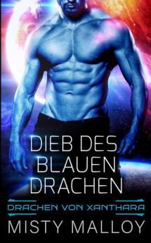 Dieb des blauen Drachen: 2 (Die Drachen Von Xanthara)