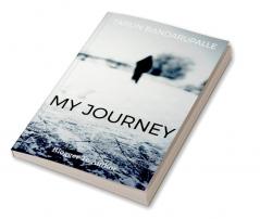 My Journey : Blogger to Author