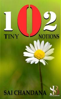 102 Tiny Notions