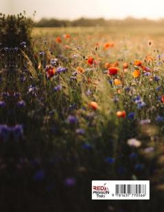 Bloom - Issue #2