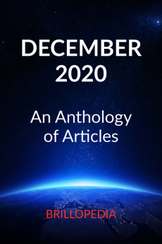 December 2020 : An Anthology of Articles