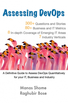 Assessing DevOps : Assess DevOps Quantitatively for your IT Business and Industry