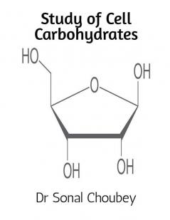 Study of Cell Carbohydrates : It presents detailed discussion of reducing sugar D-Ribose