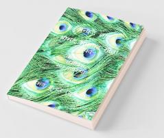 Anhad Naad - Srimad Bhagwad Gita Short Tika / अनहद नाद - श्रीमद भागवद गीता टीका: Samanvaya Samavesha Samyavastha