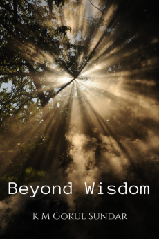 Beyond Wisdom