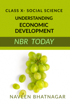 Class X Understanding Economic Development : NBR TODAY