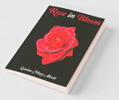 Rose In Bloom