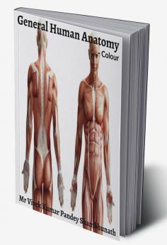 General Human Anatomy Colour