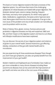 Your Digestion Is Your Health Or Disease: Choosing Healthy And Anti-Inflammatory Foods Proper Mindful Eating Boosting Healthy Microbiome And Using Natural Remedies Give Digestive Wellness.