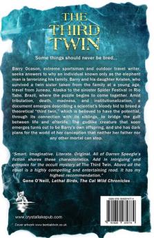 The Third Twin: A Dark Psychological Thriller