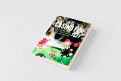 Casino Fun 101