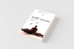 The Sober Journey