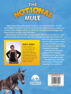 The Notional Mule