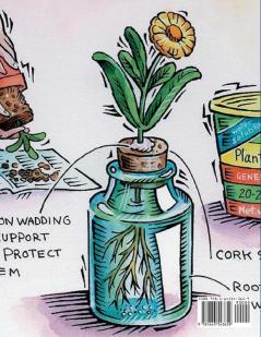 Turning an old Mattress into fresh Marijuana