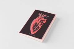 Diseases Of The Hearts And Their Cures