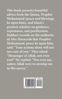 Timeless Seeds of Advice