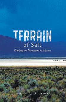 Terrain of Salt