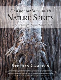 Conversations with Nature Spirits: Awakening and Igniting Our Passion for Healing the Earth