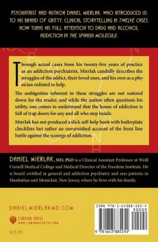 The Spanish Molecule: And Other Adventures in Addiction Psychiatry