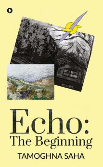 Echo: The beginning