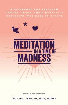 Meditation in a Time of Madness: A Guidebook for Talented Tweens Teens Their Parents & Guardians Who Need to Thrive