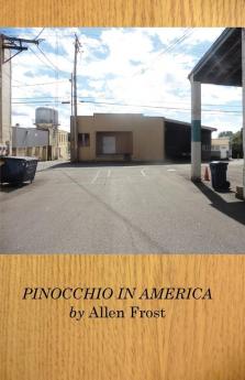 Pinocchio in America