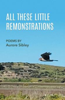 All These Little Remonstrations