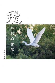 飛翔的白鷺鷥（繁體中文版）: The Flying Egret (Traditional Chinese Edition)