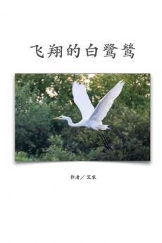 飞翔的白鹭鸶（简体中文版）: The Flying Egret (Simplified Chinese Edition)