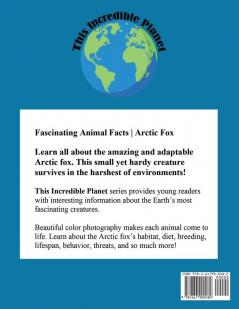 Arctic Fox