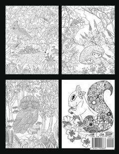 Forest Animals Coloring Book