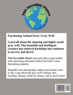 Gray Wolf