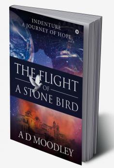 The Flight of A Stone Bird