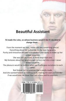 Beautiful Assistant: A Christmas Romance.: 2 (Dirty Network)