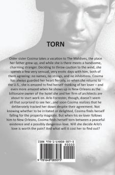 Torn: A Billionaire Romance Series