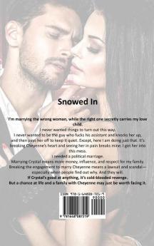 Snowed In: A Secret Baby Christmas Romance