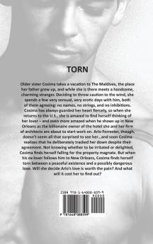 Torn: A Billionaire Romance Series