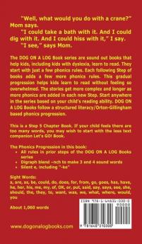 Crane Or Crane? Chapter Book: Sound-Out Phonics Books Help Developing Readers including Students with Dyslexia Learn to Read (Step 5 in a Systematic ... Books): 24 (Dog on a Log Chapter Books)