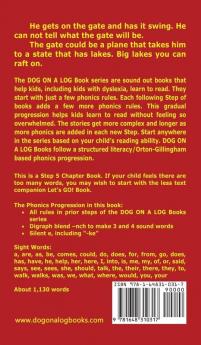 The Swing Gate Chapter Book: Sound-Out Phonics Books Help Developing Readers including Students with Dyslexia Learn to Read (Step 5 in a Systematic ... Books): 25 (Dog on a Log Chapter Books)