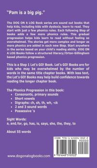 The Pig Hat: Sound-Out Phonics Books Help Developing Readers including Students with Dyslexia Learn to Read (Step 1 in a Systematic Series of Decodable Books): 2 (Dog on a Log Let's Go! Books)