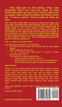 The Hidden Tale 2. The Secret Unfolds Chapter Book: Sound-Out Phonics Books Help Developing Readers including Students with Dyslexia Learn to Read ... Books): 48 (Dog on a Log Chapter Books)