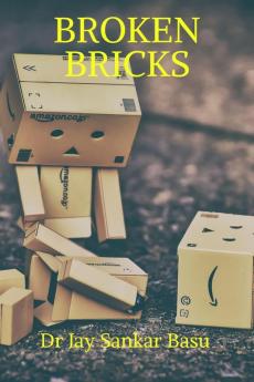 BROKEN BRICKS