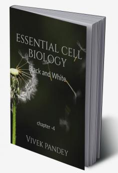 essential cell biology chapter 4 (black&amp;white) : chapter-4