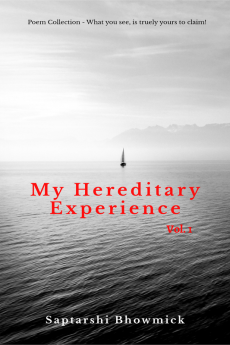 My Hereditary Experience Vol. 1 : Poem Collection - What You See is truely yours' to claim!